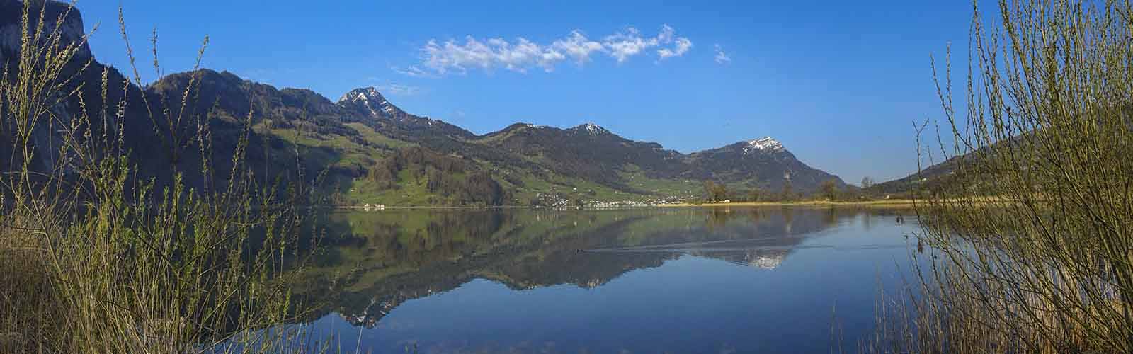 image-10607270-Schorenenbach-mündung_Panorama1-14.07.20-web-c9f0f.jpg?1594820265366